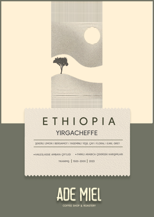 Ethiopia Yirgacheffe